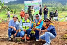 Hari Lingkungan Hidup Sedunia, Pama dan UPTD KPH Wilayah XI Kikim Pasemah Berkolaborasi Adakan Penanaman Pohon