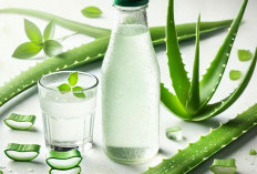 Mau Rambut Berkilau ? Coba Yuk Racik Tanaman Obat Lidah Buaya, Kombinasi dengan Pisang 