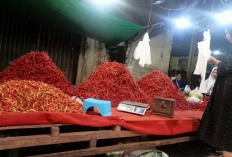 Jelang Ramadhan, Harga Cabai Setan Melonjak di Pasar Tradisional