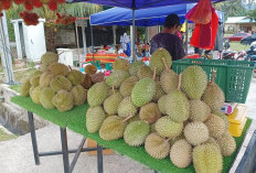 Simak! 10 Provinsi Penghasil Durian Terbesar di Indonesia 