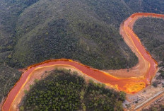 Jangan Coba-Coba! Inilah Tempat Paling Berbahaya di Dunia Untuk Berenang