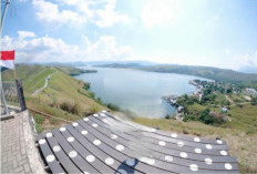 Bukit Teletubis Jayapura, Menawarkan Keindahan Alam Papua