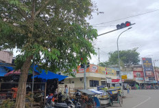 Traffic Light Mulai Tertutup Rindangan Pohon, Pengendara Dibelakang Tak Kelihatan