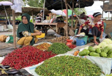 Harga Cabai dan Bawang di Pasar Pulau Mas Stabil Jelang Idul Adha
