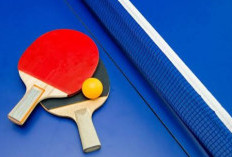 Kabupaten Lahat Semangat Jaring Atlet PNS Terbaik, Ini Dia Daftar Cabor yang Dikirim ke Porprov