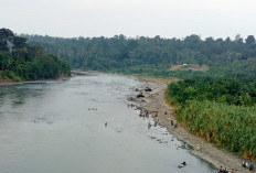 Musim Kemarau, Warga Manfaatkan Sungai Musi