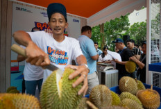 Kelompok Petani Durian di Pekalongan Makin Berkembang Berkat Pemberdayaan BRI