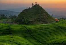 Gunung Cilik, Destinasi Alam Yang Tersbunyi di Gunung Kidul