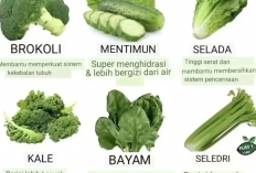 5 Tanaman Obat Sayuran Terbaik untuk Dikonsumsi Usia 50 Tahunan, Ada Kandungan Vitamin, Karbohidrat & Protein 