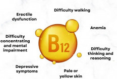 Berikut Simak Gejala Yang Menyebabkan Tubuh Kekurangan Vitamin B12