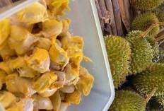 Musim Durian Kikim dan Gumay Lahat Segera Tiba, Ukuran Besar Rp30 Ribu