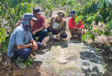 Tim Panoramic of Lahat Jelajahi 7 Situs Megalitik.