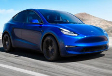 Tesla Diwartakan Siapkan SUV Model Y Lebih Lapang Untuk Pasar China