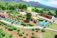 8 Wisata Hits di Kabupaten Subang : Bisa Bikin Tenang Libur Pasca Malam Satu Suro 2025