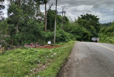 Keringat Dingin! Penggali Lobang Jalani Pemeriksaan, Ibu Kandung Jadi Korban Mutilasi Anak Bungsu, Karang Dala