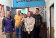 Wabup Lahat Widia Ningsih Tinjau Lokasi Kebakaran di Pasar Baru