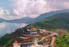 Inilah Bukit Cambai Hill, Surga Tersembunyi di Sumatera Barat