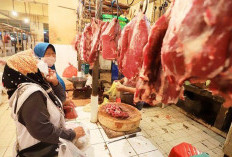 Harga Daging Sapi di Kabupaten Lahat Bertahan Stabil, Masih di Angka Rp130.000 per Kilogram 