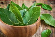 5 Manfaat Tanaman Obat Daun Salam, Bisa Atasi Sakit Perut