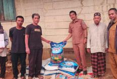 Pemkab Lahat Berikan Bantuan Benih Jagung Hidrida Kepada Kelompok Tani