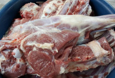 Rahasia! Tips Memasak Daging Kambing Tidak Bau Prengus