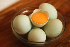 Jarang Diketahui, Ini Rahasia Kesehatan Telur Bebek Sumber Protein
