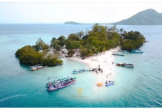 Pulau Pahawang Lampung, menawarkan Keindahan Alam Bawah Laut