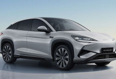 BYD Gebrak Pasar Lagi! Sealion 07 PHEV Siap Mengaspal, Tantang Para Rival
