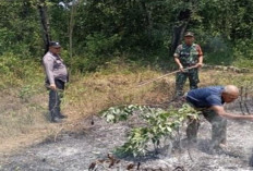 Hotspot Karhutla Terpantau di Empat Lawang, Petugas Bergerak Cepat