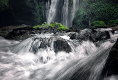 Air Terjun Tiu Ternyata Miliki Daya Tarik Bagi Wisatawan