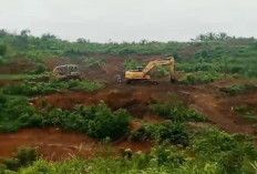 Minta Aktivitas PT SMS Dihentikan Sementara