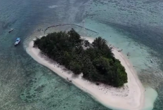 Keindahan Pulau Tikus Kawasan Bengkulu, Simpan Keindahan Luar Biasa