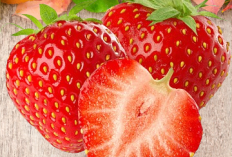 Ternyata Strawberry Kaya Manfaat untuk Kesehatan, Inilah 10 Ulasannya