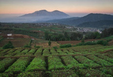 Inilah Puncak Braksengk, Pesona Alam Yang Tersembunyi di Kota Batu