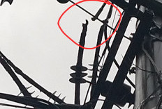 Cuaca Buruk, PLN ULP Baturaja Terus Berjuang Memulihkan Kondisi Kelistrikan 