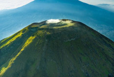 Puncak Gunung Sindoro Menawarkan Pemandangan Alam Yang Menakjubkan