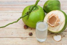 7 Daftar Orang yang Sangat Dianjurkan Untuk Minum Air Kelapa