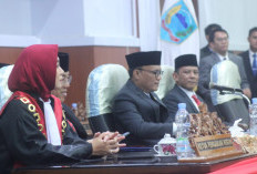 Pimpin Sementara DPRD Lahat Dijabat Fitrizal dan Andriansyah