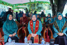 Staf Ahli TP PKK Sumsel Lidyawati Cik Ujang Dorong Revitalisasi Dasawisma saat Kunjungan Kerja ke OKU Timur