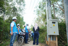 PLN Kawal Tuntas Pembangunan Infrastruktur Kelistrikan Desa Pedamaran Kabupaten OKI