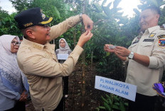 Program Stek Kopi Masih Berlanjut