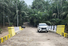 Wajah Baru Jembatan Sadan Simpang Dumer Akses Penting Lima Desa di Kikim Barat Dipermak Permanen