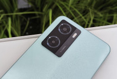 Banyak yang Nggak Tau, Ini 5 Rekomendasi HP Oppo Terbaru untuk Berbagai Kebutuhan Pengguna