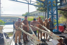 Bupati Bursah Zarnubi Serahkan 10 Unit Traktor kepada Kelompok Tani, Dorong Kreativitas Petani