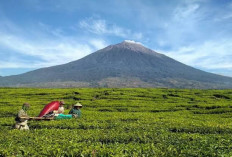 5 Gunung yang Paling Banyak Dikunjungi oleh Para Pendaki di Indonesia, Salah Satunya di Sumatera!