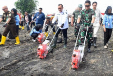 Sekda Sumsel Ikut Serta Tanam Jagung Serentak