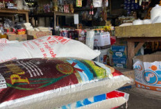 Harga Beras di Pasar Pulau Mas Naik hingga Rp8 Ribu per Karung