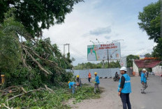 PLN Upayakan Pemulihan Listrik Pasca Angin Puting Beliung Yang Terjang Muara Enim