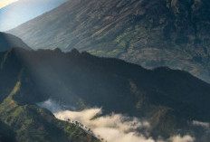 Inilah Gunung Prau Salah Satu Destinasi Pendakian Populer di Indonsia