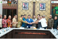 Pemprov Sumsel Percepat Pembangunan Pelabuhan Tanjung Carat, Bentuk Konsorsium BUP